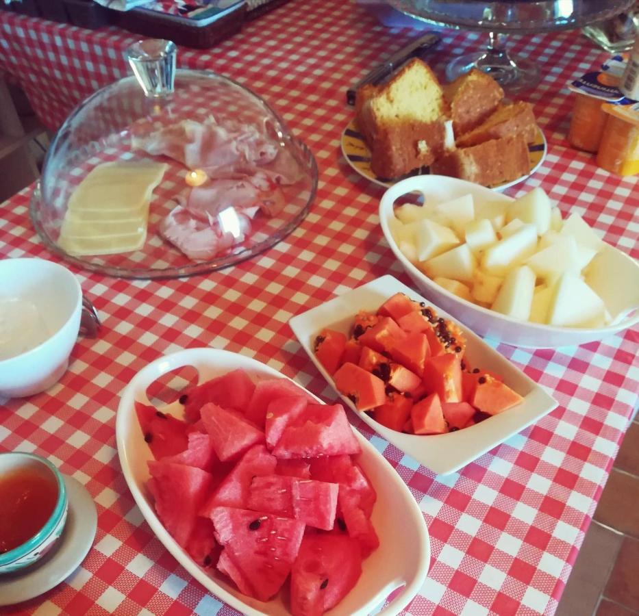 Quinta Dos Alamos Agroturismo Golegã Εξωτερικό φωτογραφία